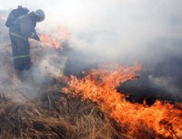 Авиарейсы из Москвы в Томск по метеоусловиям принимает новосибирский аэропорт Авиарейсы из Москвы в Томск по метеоусловиям принимает новосибирский аэропорт