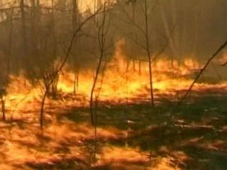 Природные пожары полыхают в шести районах Амурской области Природные пожары полыхают в шести районах Амурской области