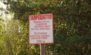 Скотомогильник с сибирской язвой в Приморье угрожает здоровью людей Скотомогильник с сибирской язвой в Приморье угрожает здоровью людей