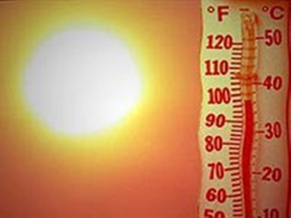МЧС объявило о чрезвычайной пожароопасности в Липецкой области из-за жары МЧС объявило о чрезвычайной пожароопасности в Липецкой области из-за жары