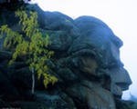 Красноярский заповедник "Столбы" вновь закрыт для посещения из-за угрозы пожаров Красноярский заповедник "Столбы" вновь закрыт для посещения из-за угрозы пожаров