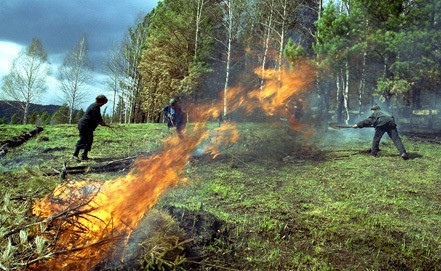 Более 40 крупных лесных пожаров зарегистрировано в Сибири Более 40 крупных лесных пожаров зарегистрировано в Сибири