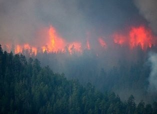 Эвакуация жителей поселка на Урале, к которому приближался лесной пожар, не требовалась Эвакуация жителей поселка на Урале, к которому приближался лесной пожар, не требовалась