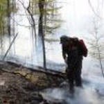 Площадь лесных пожаров в Томской области за сутки сократилась более чем на треть Площадь лесных пожаров в Томской области за сутки сократилась более чем на треть