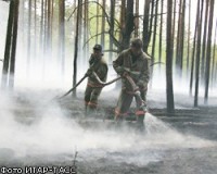 Число лесных пожаров в РФ за выходные снизилось до 94 очагов Число лесных пожаров в РФ за выходные снизилось до 94 очагов
