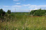 Верховое болото и пойма реки Неман под Калининградом получили статус заказников Верховое болото и пойма реки Неман под Калининградом получили статус заказников