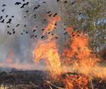 Посольство РФ рекомендует россиянам избегать поездок в пожароопасные места Испании Посольство РФ рекомендует россиянам избегать поездок в пожароопасные места Испании