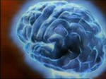 Биологи выяснили, как центр речи в мозге кодирует гласные звуки Биологи выяснили, как центр речи в мозге кодирует гласные звуки