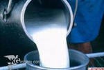 Казахстан ввел запрет на ввоз скота и мясомолочных продуктов из Алтайского края Казахстан ввел запрет на ввоз скота и мясомолочных продуктов из Алтайского края