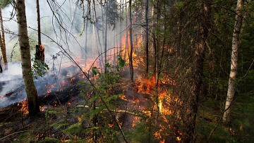Один пожар остается непотушенным в лесах Сибири Один пожар остается непотушенным в лесах Сибири