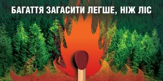 Структура по охране лесов может быть создана в подмосковном Железнодорожном Структура по охране лесов может быть создана в подмосковном Железнодорожном