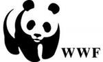 WWF России призывает граждан присылать замечания к проекту лесной политики РФ WWF России призывает граждан присылать замечания к проекту лесной политики РФ