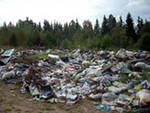 Более 1300 незаконных свалок отметили пользователи на онлайн-карте России Более 1300 незаконных свалок отметили пользователи на онлайн-карте России