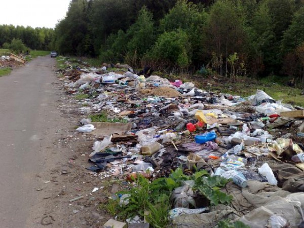 Ущерб от свалок в Москве и Подмосковье в 5 раз превышает сумму штрафов за их организацию Ущерб от свалок в Москве и Подмосковье в 5 раз превышает сумму штрафов за их организацию