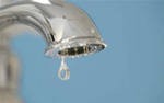 Водоросли стали причиной появления неприятного запаха у воды в Новгороде Водоросли стали причиной появления неприятного запаха у воды в Новгороде