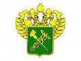 Импорт в РФ из дальнего зарубежья за 8 месяцев вырос на 5,5%, до $174,9 млрд Импорт в РФ из дальнего зарубежья за 8 месяцев вырос на 5,5%, до $174,9 млрд