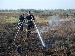 Возгорание торфяников во Львовской области ликвидировано Возгорание торфяников во Львовской области ликвидировано