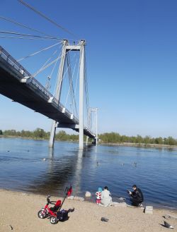 Ученые изучат роль лесов Сибири в глобальной экосистеме Ученые изучат роль лесов Сибири в глобальной экосистеме