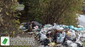 Новосибирцы с февраля указали на экокарте региона около 80 несанкционированных свалок Новосибирцы с февраля указали на экокарте региона около 80 несанкционированных свалок