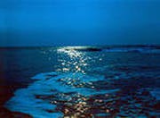 Пониженное содержание кислорода обнаружили ученые в пробах воды из Карского моря Пониженное содержание кислорода обнаружили ученые в пробах воды из Карского моря