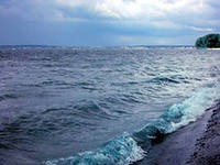 Власти Дальнего Востока недостаточно заботятся об охране морских биоресурсов Власти Дальнего Востока недостаточно заботятся об охране морских биоресурсов