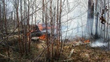 Число лесных пожаров снизилось в России за выходные с восьми до пяти очагов Число лесных пожаров снизилось в России за выходные с восьми до пяти очагов