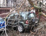 Более 70 деревьев повалено в Москве за сутки из-за сильного ветра Более 70 деревьев повалено в Москве за сутки из-за сильного ветра