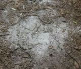 Осадки в Омске, похожие на стиральный порошок, возможно, являются цементом Осадки в Омске, похожие на стиральный порошок, возможно, являются цементом