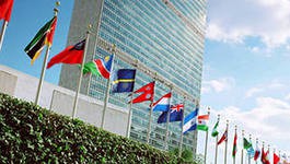 Конференция ООН по биоразнообразию утвердит список особо ценных морских территорий Конференция ООН по биоразнообразию утвердит список особо ценных морских территорий