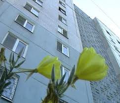 Польша хочет принять у себя переговоры ООН по климату в 2013 г Польша хочет принять у себя переговоры ООН по климату в 2013 г