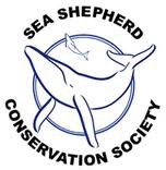 Глава Sea Shepherd получил премию имени Жюля Верна за борьбу с китобоями Глава Sea Shepherd получил премию имени Жюля Верна за борьбу с китобоями