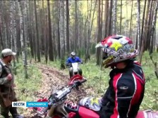 Красноярские мотоэкстремалы не дают медведям спать Красноярские мотоэкстремалы не дают медведям спать