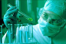 Французские академики признали некорректным сенсационное исследование о вреде ГМО Французские академики признали некорректным сенсационное исследование о вреде ГМО