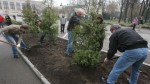 Около 3,5 тысячи деревьев посадили в Ульяновской области в рамках общероссийской акции Около 3,5 тысячи деревьев посадили в Ульяновской области в рамках общероссийской акции