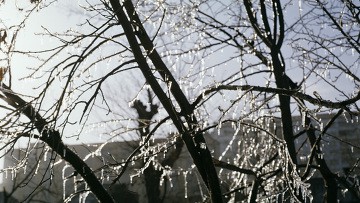 Ночные заморозки и мокрый снег ожидаются в Москве на этой неделе Ночные заморозки и мокрый снег ожидаются в Москве на этой неделе