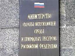 Томский губернатор просит у Минприроды продлить сроки охоты на расплодившихся медведей Томский губернатор просит у Минприроды продлить сроки охоты на расплодившихся медведей