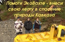 Военные следователи возбудили дело по факту загрязнения керосином реки в Сочи Военные следователи возбудили дело по факту загрязнения керосином реки в Сочи