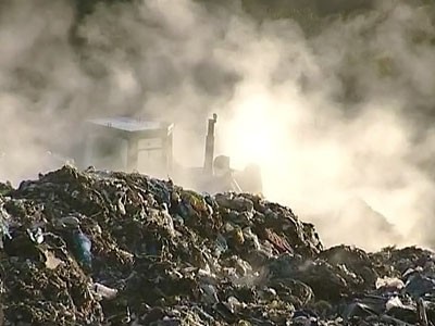 В Подмосковье на свалке нашли останки животных и ртуть В Подмосковье на свалке нашли останки животных и ртуть