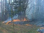 Лесоохрана за сутки потушила на Дальнем Востоке 10 лесных пожаров Лесоохрана за сутки потушила на Дальнем Востоке 10 лесных пожаров