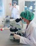 Биологи изучили систему самокопирования внутри вируса гриппа Биологи изучили систему самокопирования внутри вируса гриппа