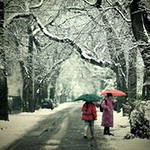 Новое похолодание ожидается 3-4 декабря Новое похолодание ожидается 3-4 декабря