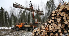 Объемы заготовок древесины в России возрастут Объемы заготовок древесины в России возрастут