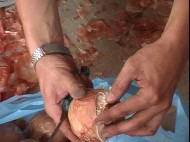 Свыше 2 тонн героина изъято в Афганистане в ходе спецоперации спецслужб России и США Свыше 2 тонн героина изъято в Афганистане в ходе спецоперации спецслужб России и США