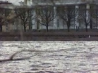 В Петербурге штормовой ветер срывает кровли и валит деревья В Петербурге штормовой ветер срывает кровли и валит деревья