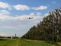 От снежных заносов дороги спасут лесные защитные полосы От снежных заносов дороги спасут лесные защитные полосы