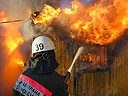 Число лесных пожаров в России за сутки снизилось до 198 очагов Число лесных пожаров в России за сутки снизилось до 198 очагов