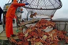 Генпрокуратура проверит законность аукционов по продаже квот Генпрокуратура проверит законность аукционов по продаже квот