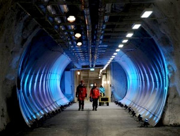 В Якутии открылось федеральное криохранилище семян редких и перспективных растений В Якутии открылось федеральное криохранилище семян редких и перспективных растений