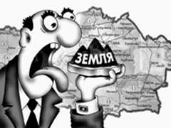 Треть сельхозземель в России была заброшена за 10 постсоветских лет Треть сельхозземель в России была заброшена за 10 постсоветских лет